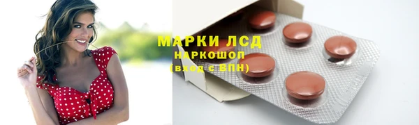 крисы Армянск