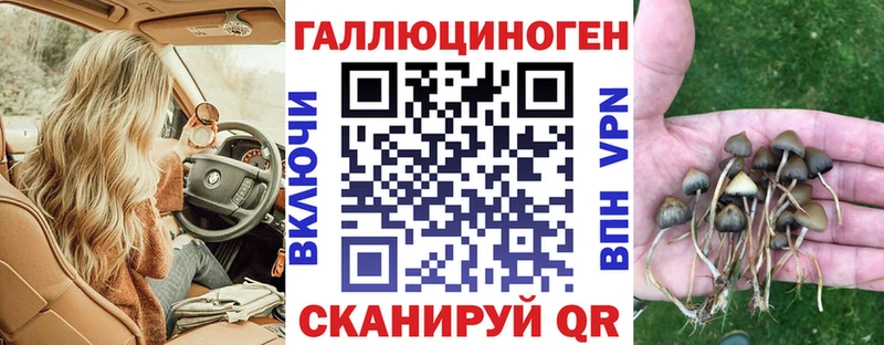 Псилоцибиновые грибы GOLDEN TEACHER  наркошоп  Саяногорск 